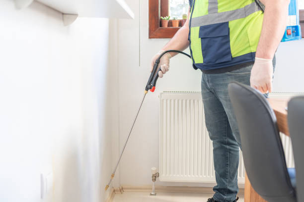 Best Pest Removal Services  in Pagould, AR
