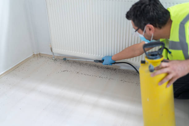 Best Residential Pest Control  in Pagould, AR